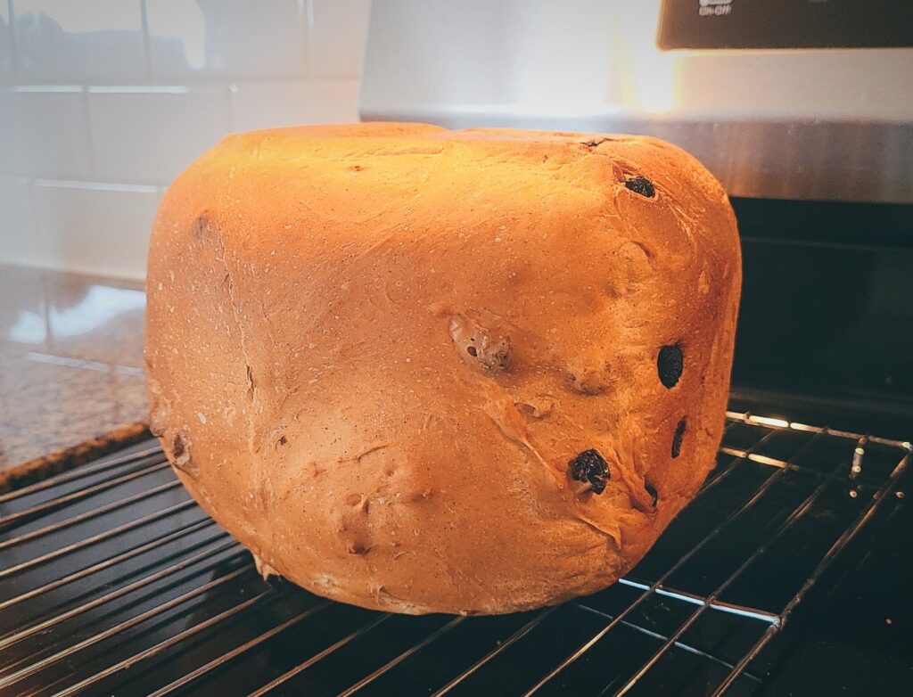 Raisin Bread made by me